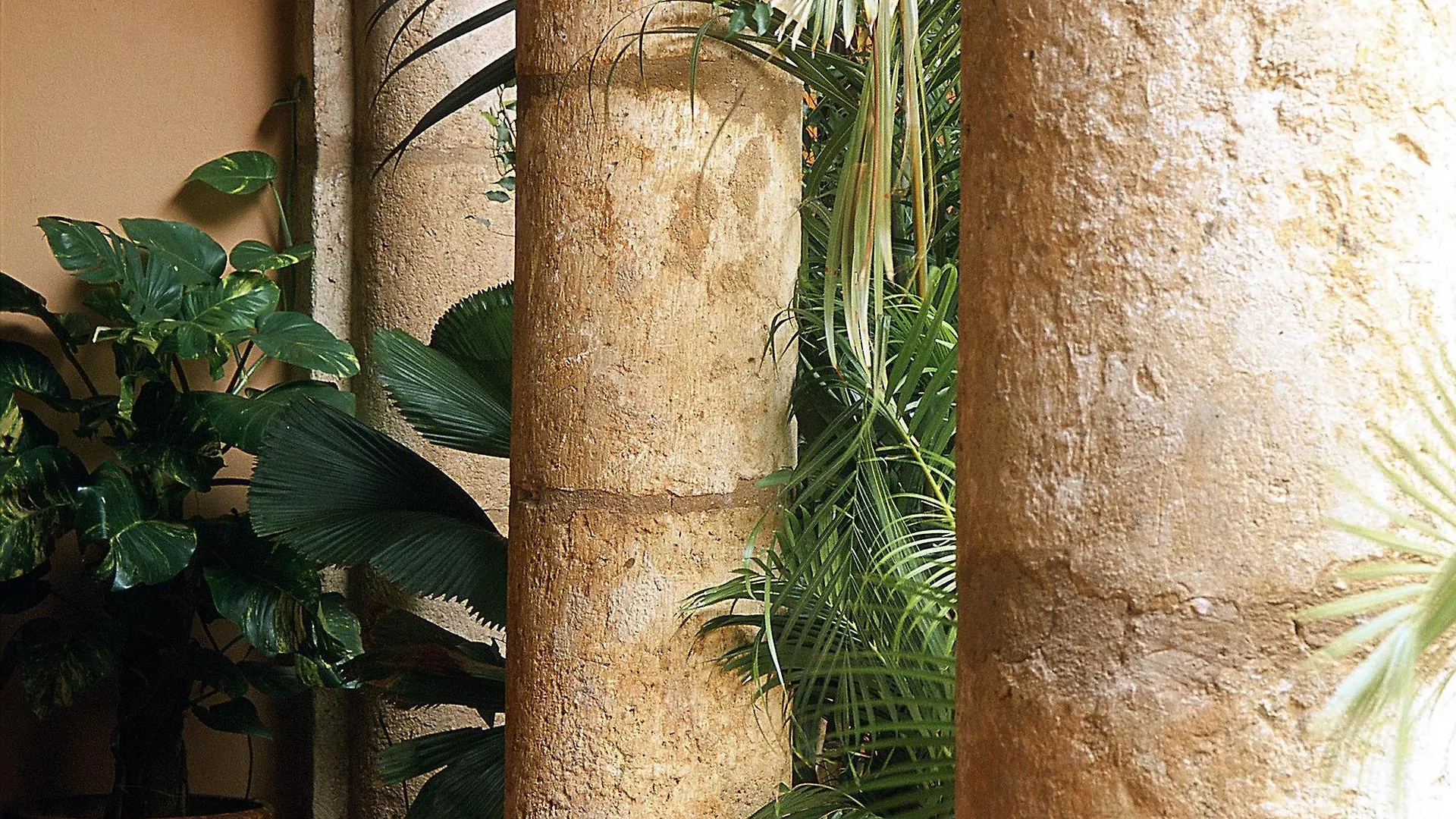 Hotel Frances Santo Domingo - Mgallery Collection